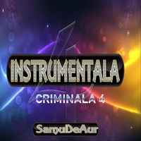 Instrumentala Criminala 4