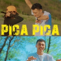 PICA PICA