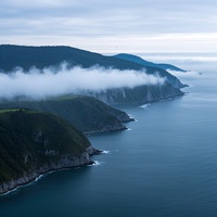 Calm Coastal Fog