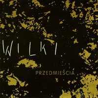 Cień W Dolinie Mgieł