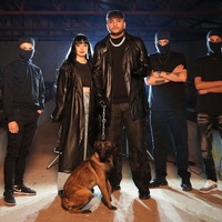 Köpekler Tanımadıklarına Havlar