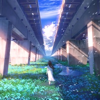 The Shape of Rain