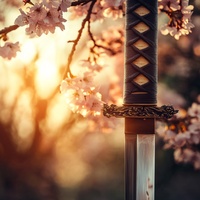 Awaken Blade