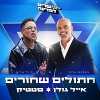 חתולים שחורים (ישראל בידור)