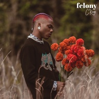 Felony (Slowed Down Version)