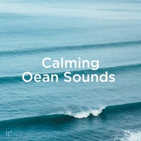 Sonidos Del Mar Con Música