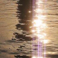 blissful lights