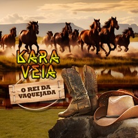 Foi Você