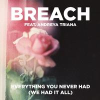 Everything You Never Had (We Had It All) - Edit