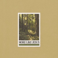 More Like Jesus