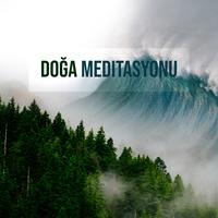 Doğal Sesler