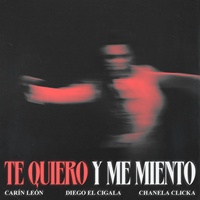 Te Quiero y Me Miento