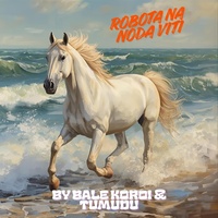 ROBOTA NA NODA VITI