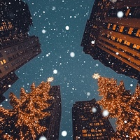 On Snowy Nights