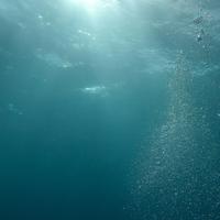 Ocean