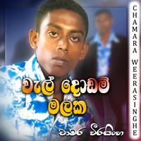 Wal dodam malak