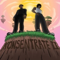 Kosentrate II