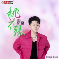 桃花缘_30S