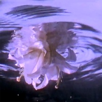 vcr-classique - 送別