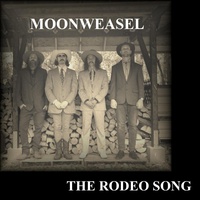 The Rodeo Song