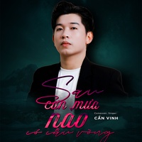 Sau Cơn Mưa Nào Có Cầu Vòng - Huy PT Remix
