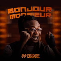 Bonjour monsieur