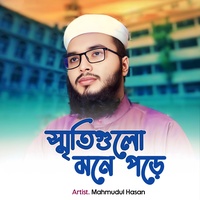 স্মৃতিগুলো মনে পড়ে