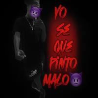 Yo Se Que Pinto malo