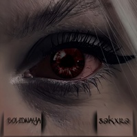 Sound image
