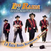 El Vato Chingón
