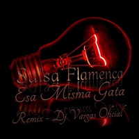 TEMAS DJ VARGAS OFICIAL " ESA MISMA GATA " REMIX - Remix