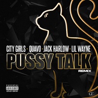 Pussy Talk - Remix