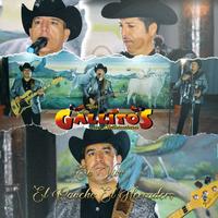 Ojitos Negros (En Vivo)