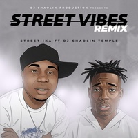 Street vibes (Remix) (feat. Dj Shaolin Temple)
