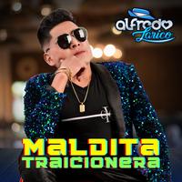 Maldita Traicionera - Oficial