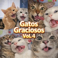 Gatos Locos