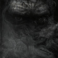 Vikinger