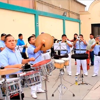 Marcha Amor Amor - Freestyle