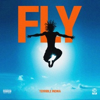FLY