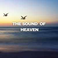 Soul Healing