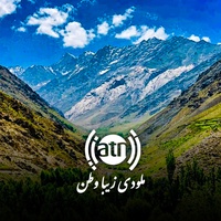 زیبا وطن