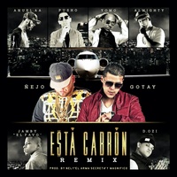 Esta Cabron (Remix) [feat. Anuel AA & Yomo & Pusho & Almighty & D. Ozi & Jamby el Favo]