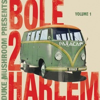 Bole 2 Harlem - Original