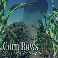 Corn Rows