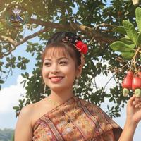 ណាំណាវ