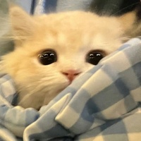 có nước mắt em giấu đi làm gì