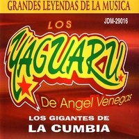 Conga y Timbal