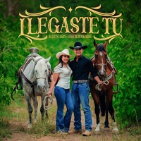 Llegaste Tú
