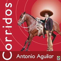 Caballo De La Cordada