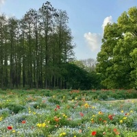 Windy Hill(治愈系)